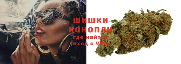 мдпв Горнозаводск