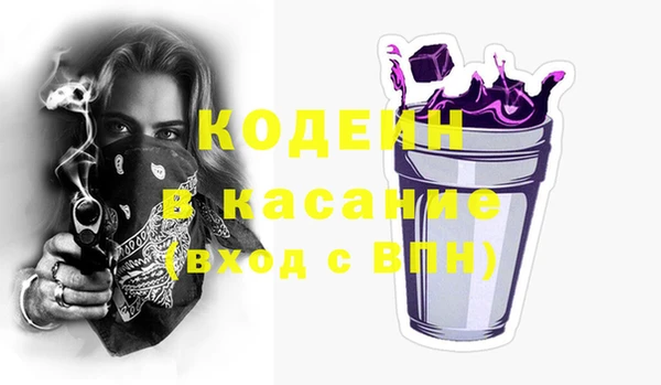 эйфоретик Гусь-Хрустальный