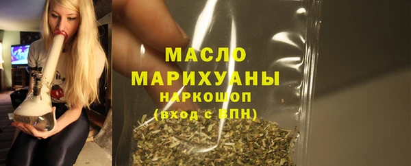 эйфоретик Гусь-Хрустальный