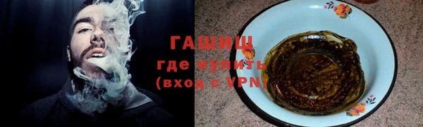 эйфоретик Гусь-Хрустальный