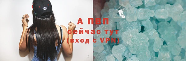 стаф Горняк