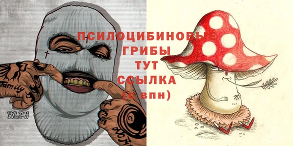 стаф Горняк