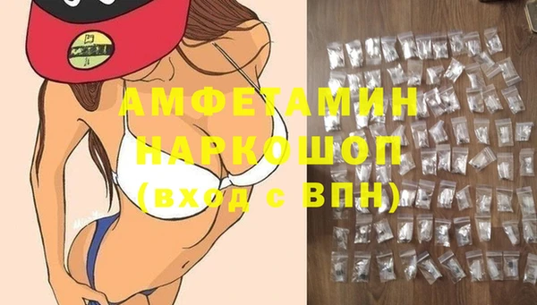 эйфоретик Гусь-Хрустальный