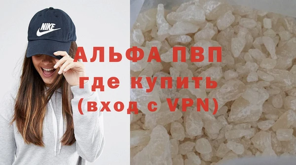 эйфоретик Гусь-Хрустальный