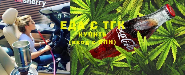 стаф Горняк