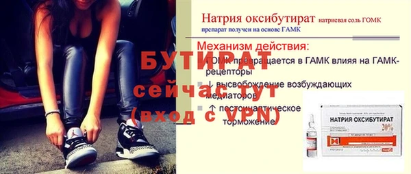 эйфоретик Гусь-Хрустальный